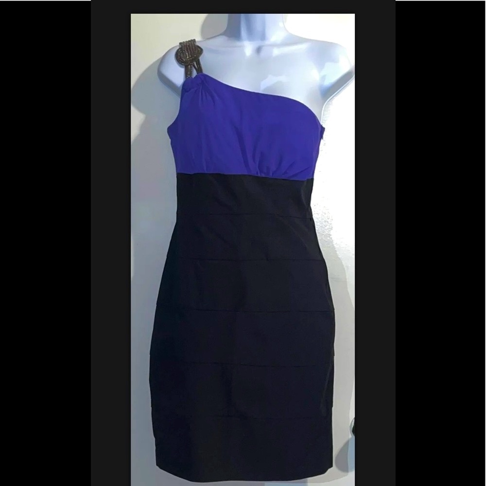 BISOU BISOU Purple/Black One Shoulder Bodycon Formal Dress Size 4
